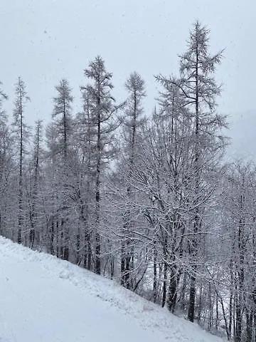joli studio montagne Allos 0*,  France