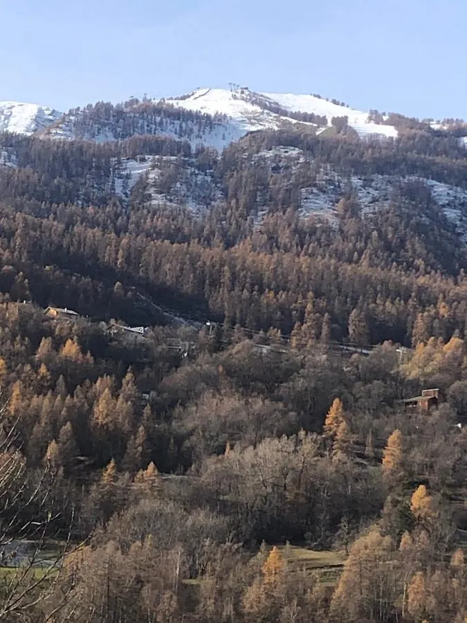 joli studio montagne Allos Francia